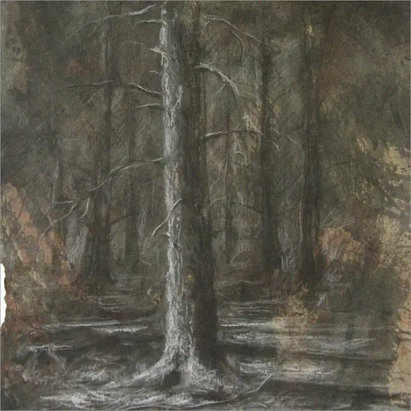 Drawing 12