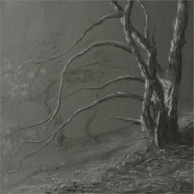 Drawing 15