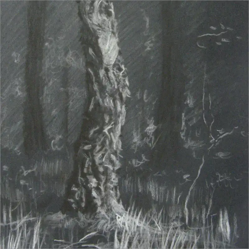 Drawing 17