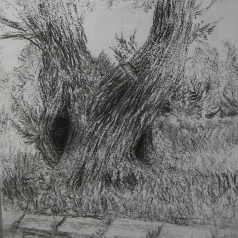 Drawing 20